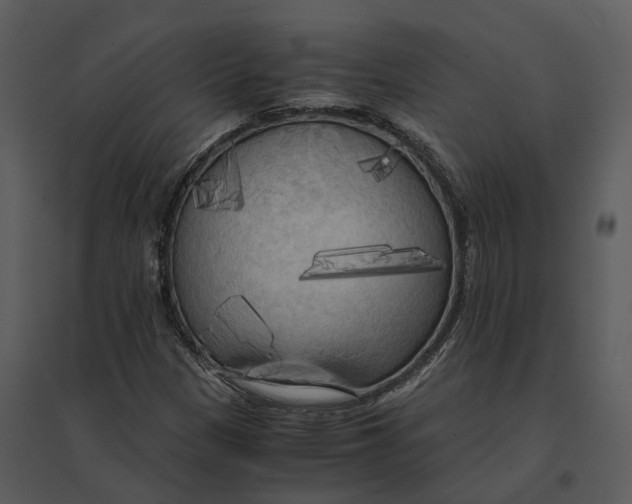 X0000095521305200801041214