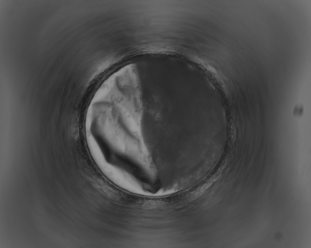 X0000095521306200801041214