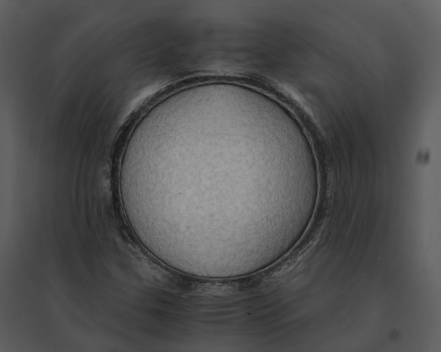 X0000095521307200801041214