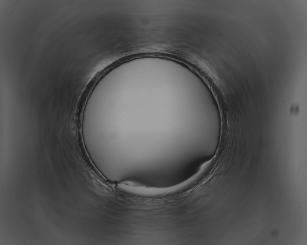 X0000095521308200801041214