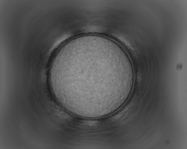 X0000095521309200801041214