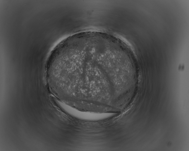 X0000095521310200801041214