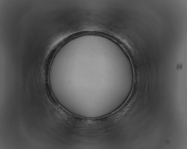 X0000095521311200801041214