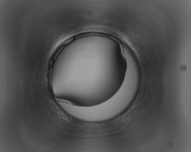 X0000095521312200801041214