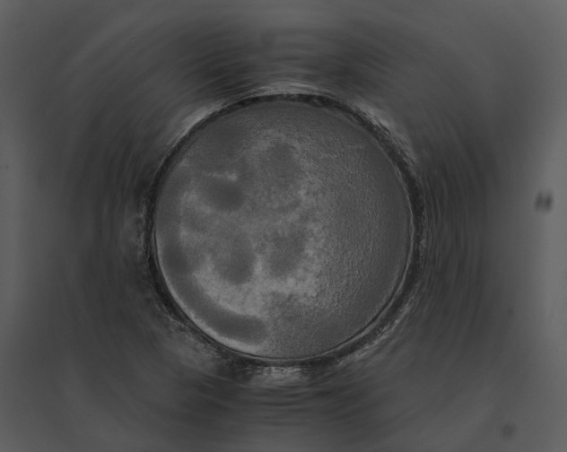 X0000095521313200801041214