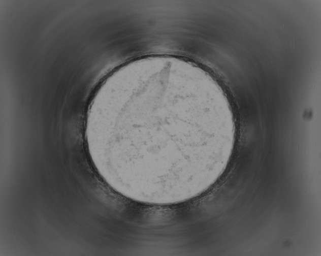 X0000095521314200801041214