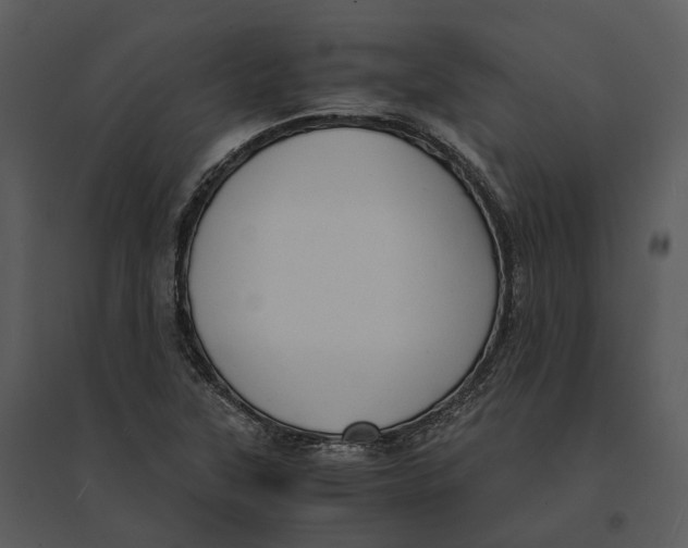 X0000095521315200801041214