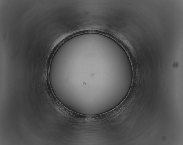 X0000095521316200801041214