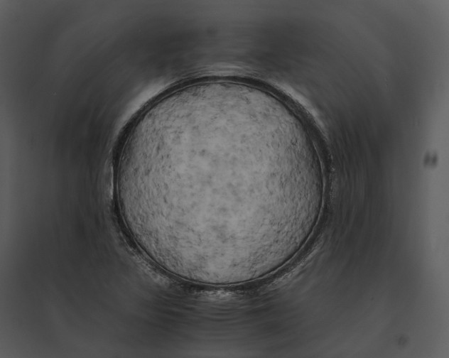 X0000095521317200801041214