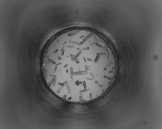 X0000095521318200801041214