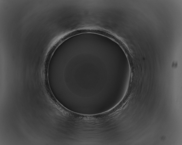 X0000095521319200801041214