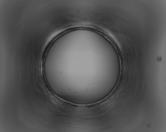 X0000095521320200801041214