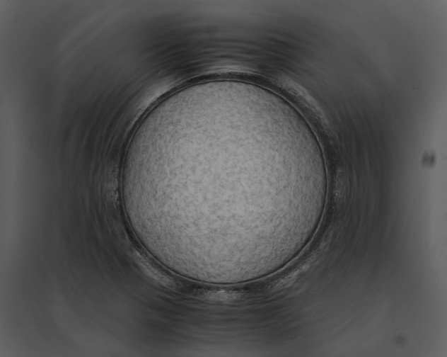 X0000095521321200801041214