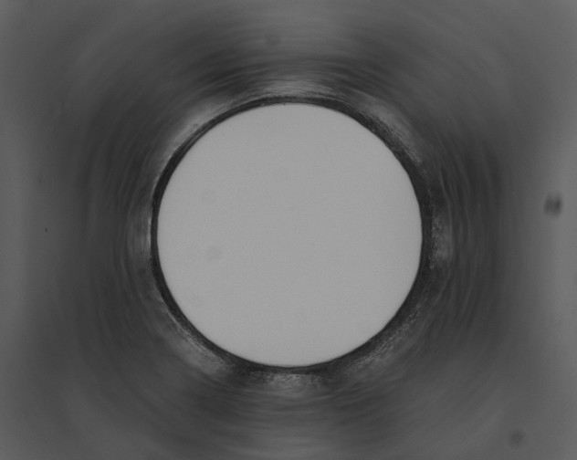 X0000095521322200801041214