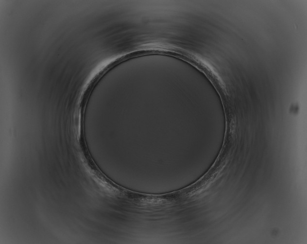 X0000095521323200801041214