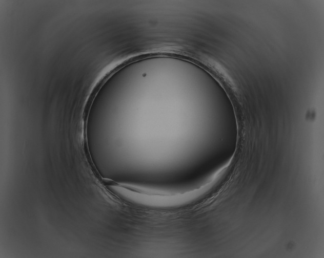 X0000095521324200801041214