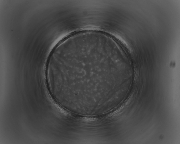 X0000095521325200801041214