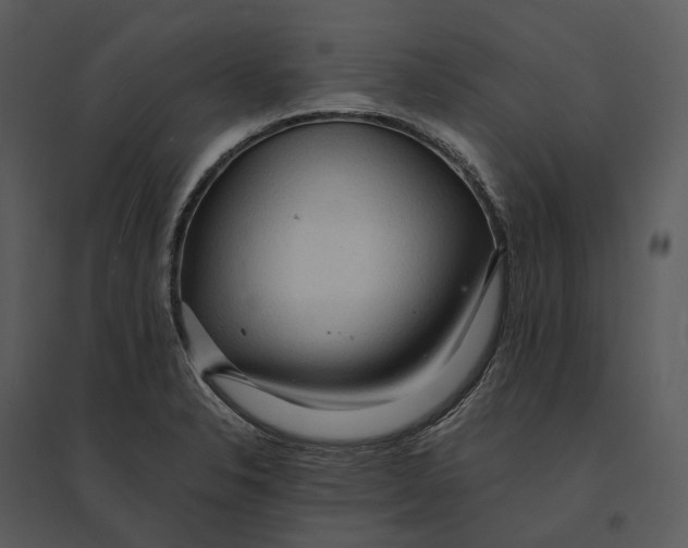 X0000095521326200801041214