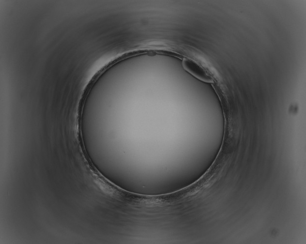 X0000095521328200801041214