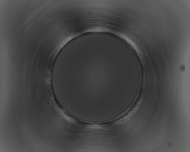 X0000095521329200801041214