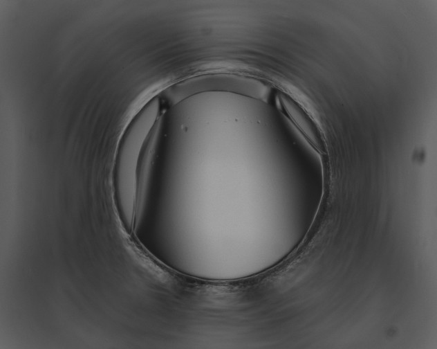 X0000095521330200801041214