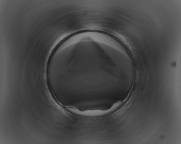 X0000095521331200801041214