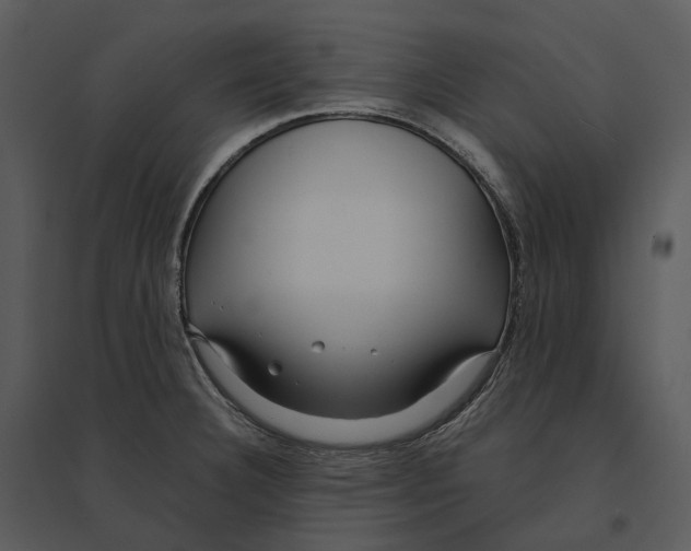 X0000095521332200801041214