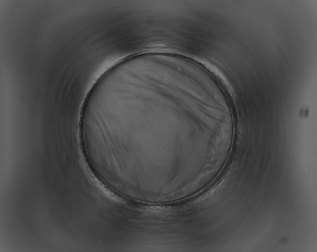 X0000095521333200801041214