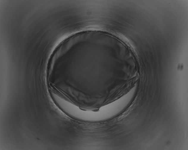 X0000095521334200801041214