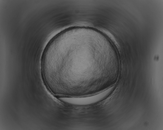 X0000095521335200801041214