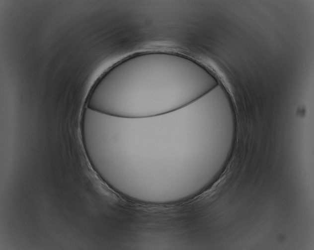 X0000095521336200801041214