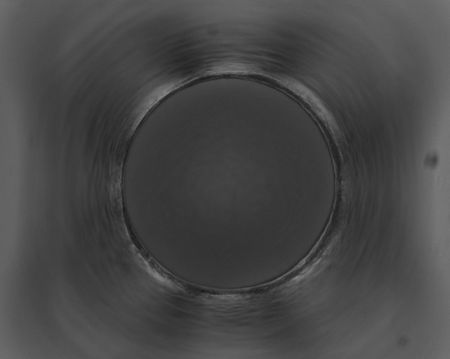 X0000095521337200801041214