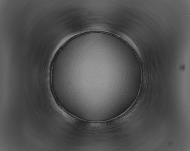 X0000095521339200801041214