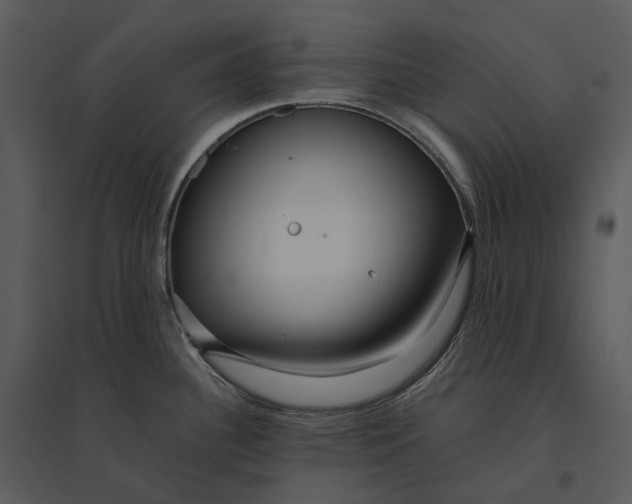 X0000095521340200801041214