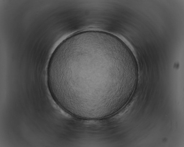 X0000095521341200801041214