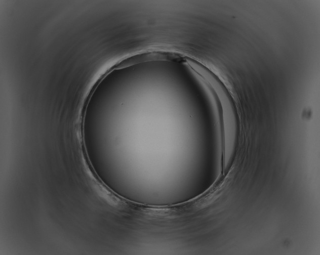 X0000095521342200801041214