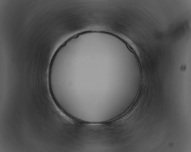 X0000095521343200801041214