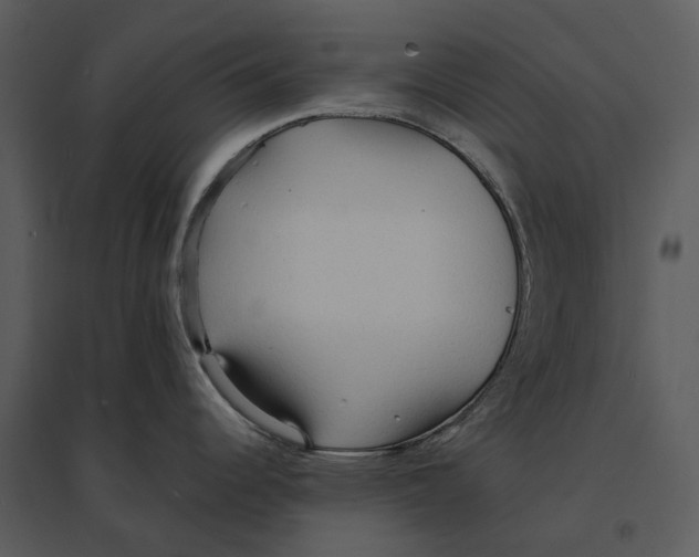 X0000095521344200801041214