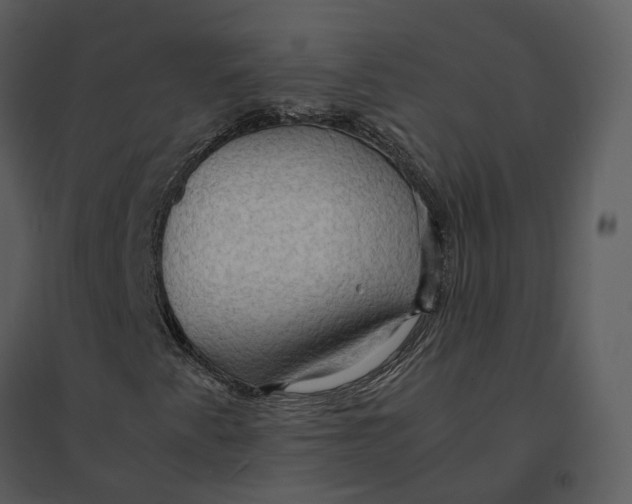 X0000095521345200801041214