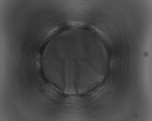 X0000095521346200801041214