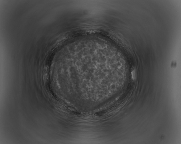 X0000095521347200801041214