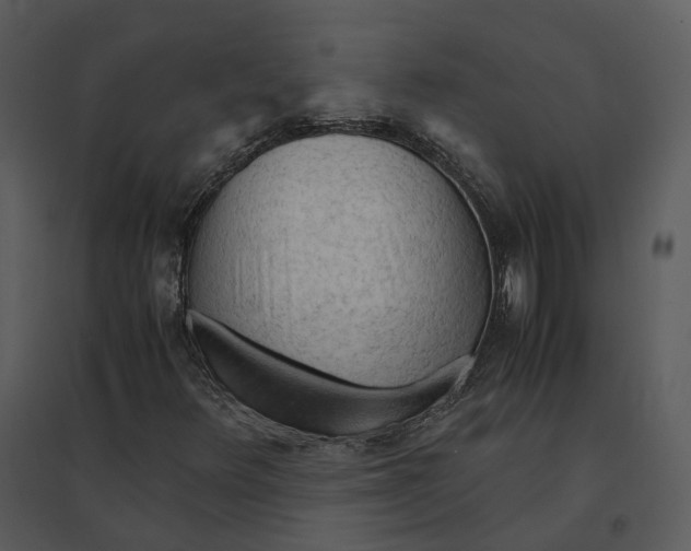 X0000095521348200801041214