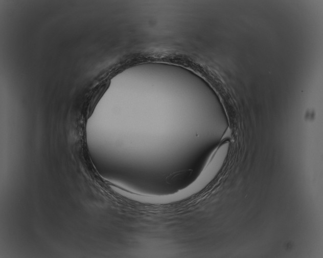 X0000095521349200801041214