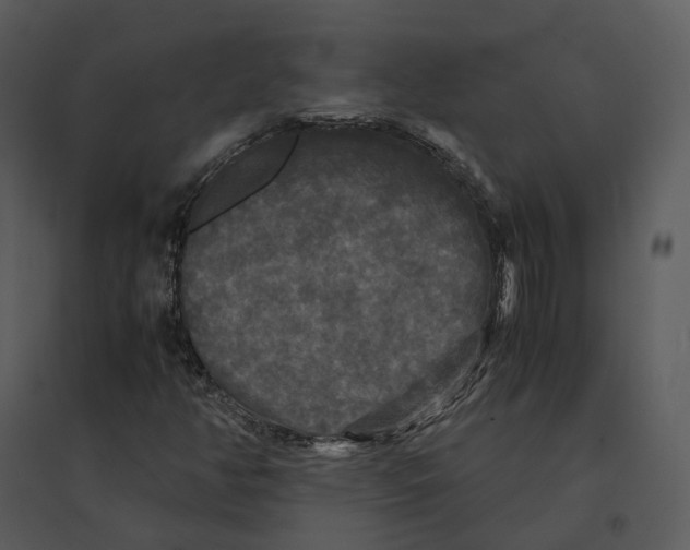 X0000095521350200801041214