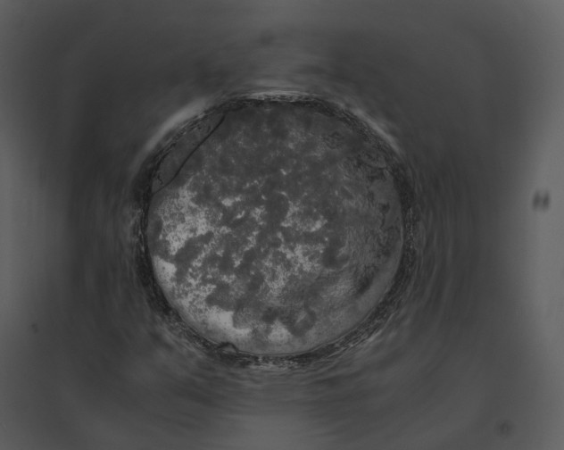 X0000095521351200801041214