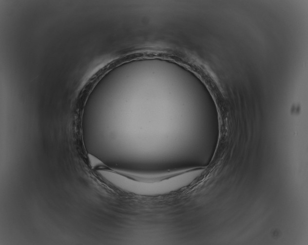 X0000095521352200801041214