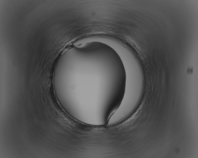 X0000095521353200801041214