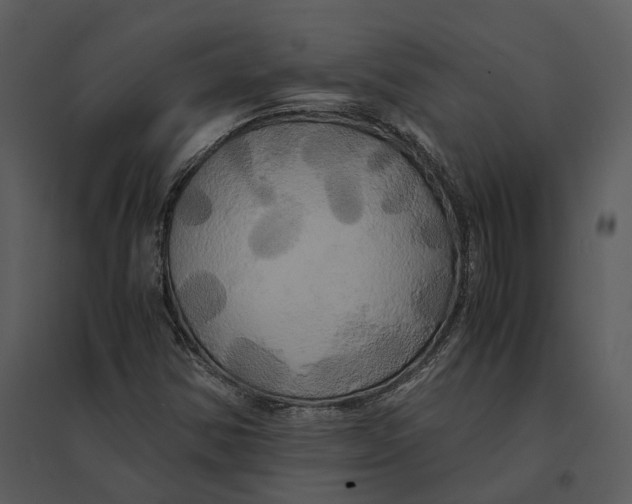 X0000095521354200801041214