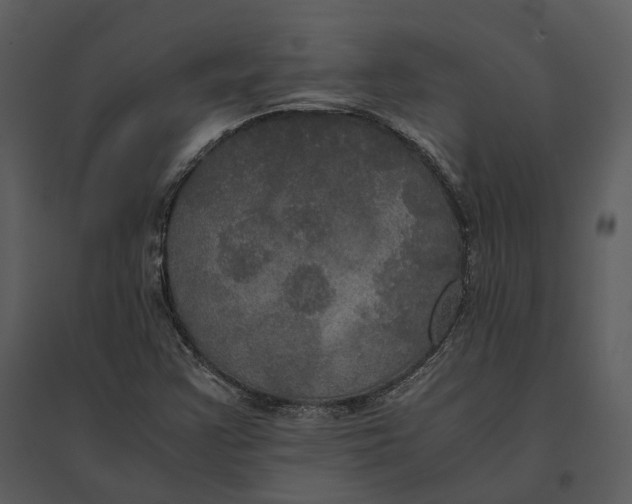 X0000095521355200801041214