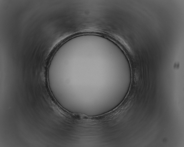 X0000095521356200801041214